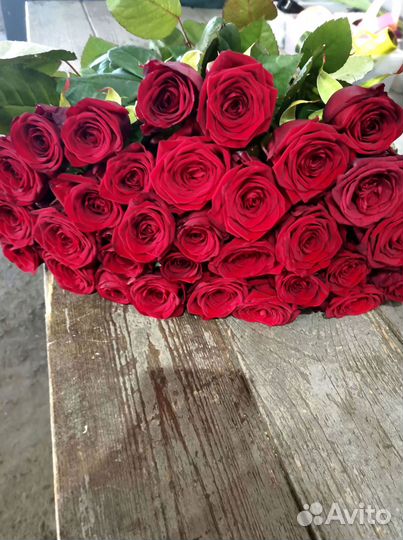 Розы букет цветов