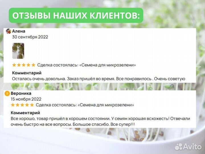 Качественная микрозелень