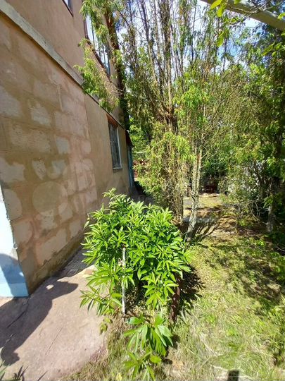 Дом 51,8 м² на участке 6 сот.