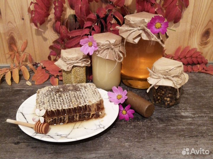 Алтайский Мед 2023, пыльца, прополис, перга Нгн