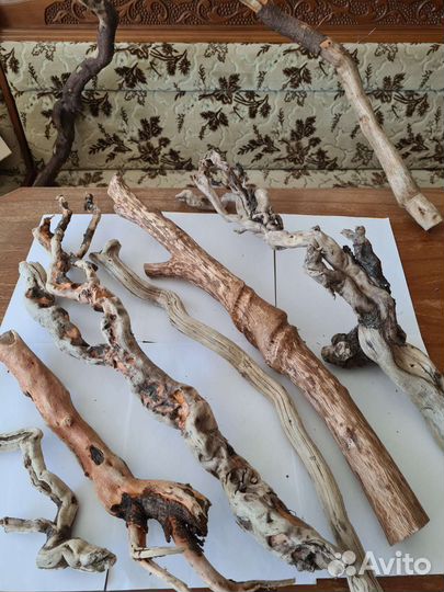 Морские коряги дрифтвуд