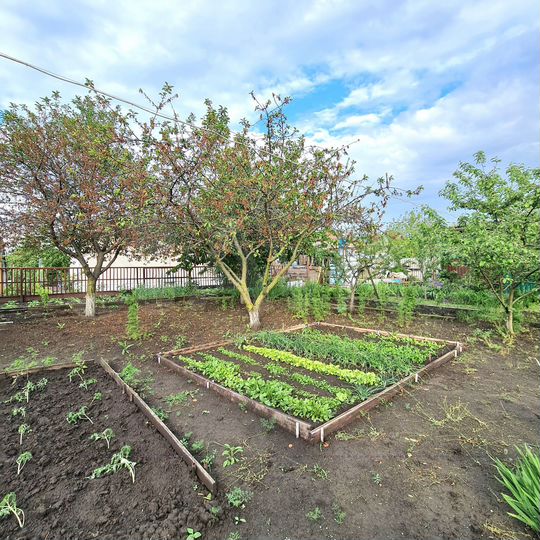 Дом 76 м² на участке 4,3 сот.