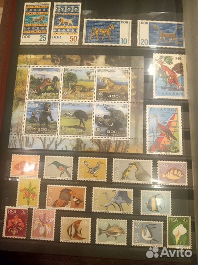 Альбом с марками (фауна)