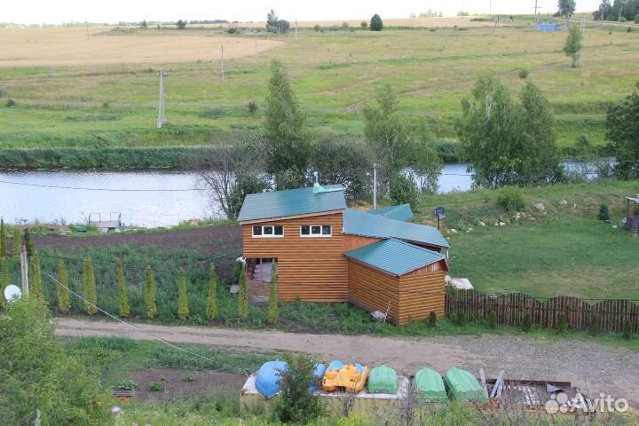 Дрессировка и передержка собак