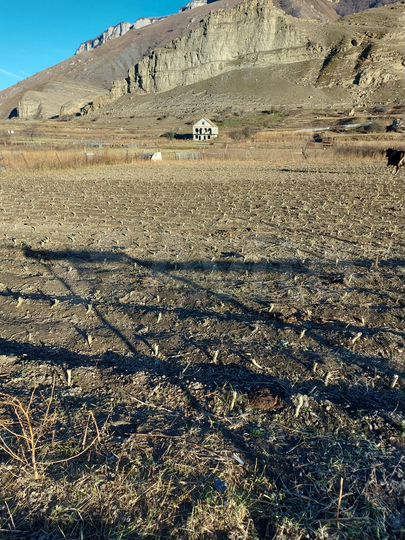 Участок 15 сот. (СНТ, ДНП)