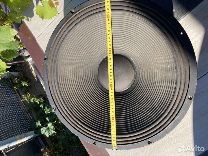 Бин нч клонки