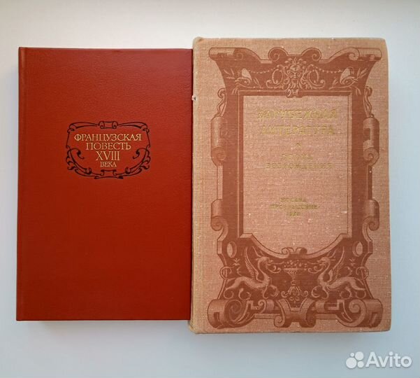 Зарубежная литература. Французская повесть 2 книги
