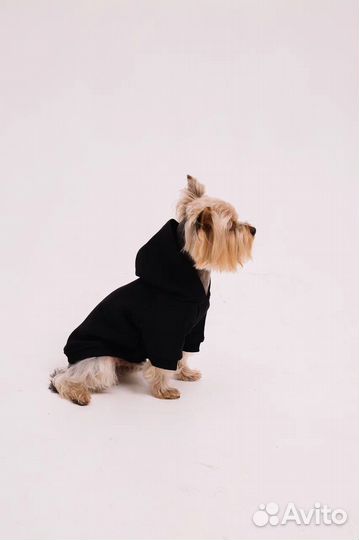 Худи для собак