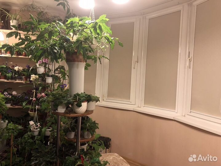 Рулонные шторы блэкаут