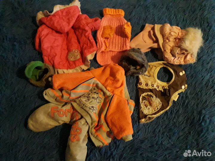 Вещи для маленьких собак