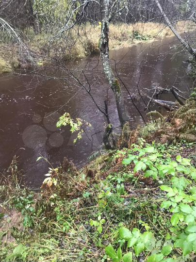 Участок 12 сот. (ИЖС)