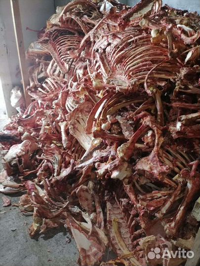 Кости говяжьи бесплатно