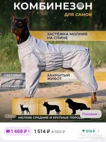 Дождевик для средней собаки