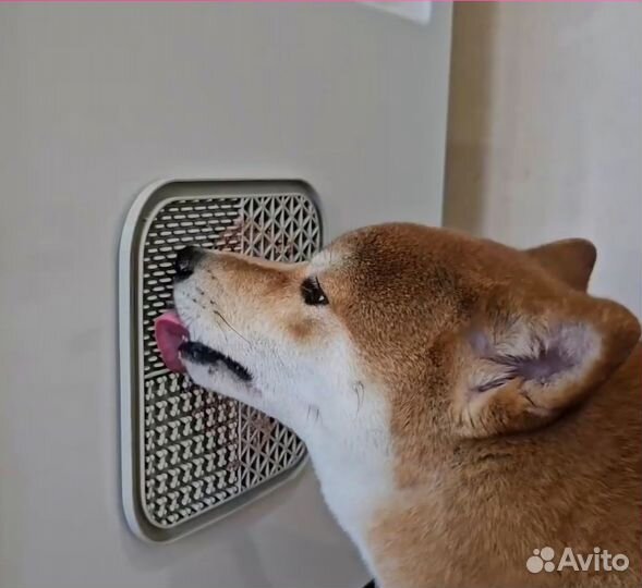 Лизательный коврик