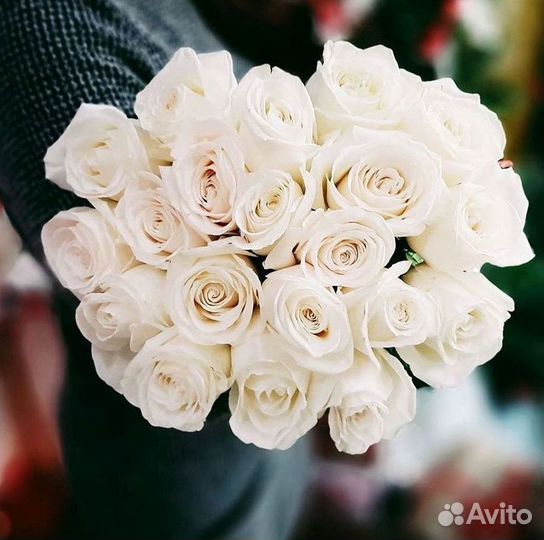 101 роза цветы букеты доставка 25 51 101 роза