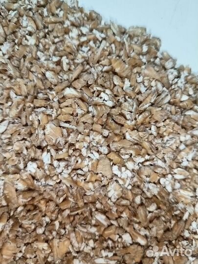 Плющенное зерно