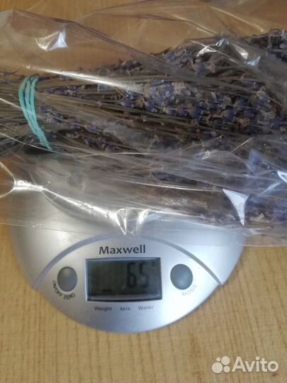 Лаванда сухоцвет