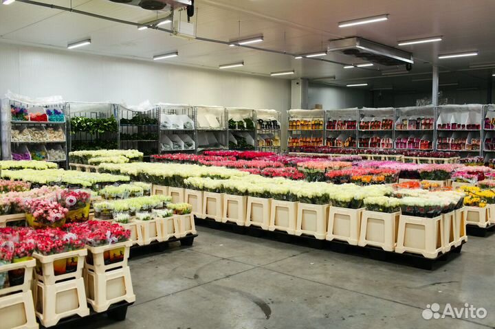 Завхоз с ежедневной оплатой