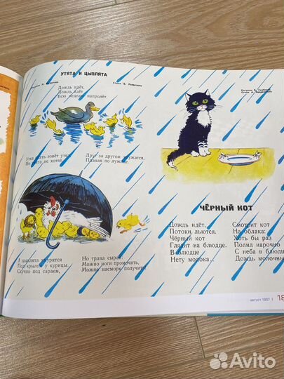 Веселые истории в картинках