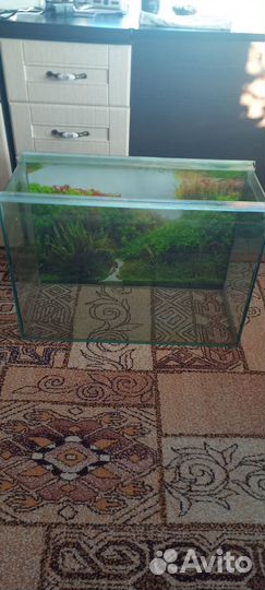 Аквариум 100л