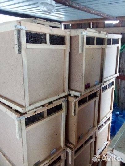 Ящики для транспортировки пчел