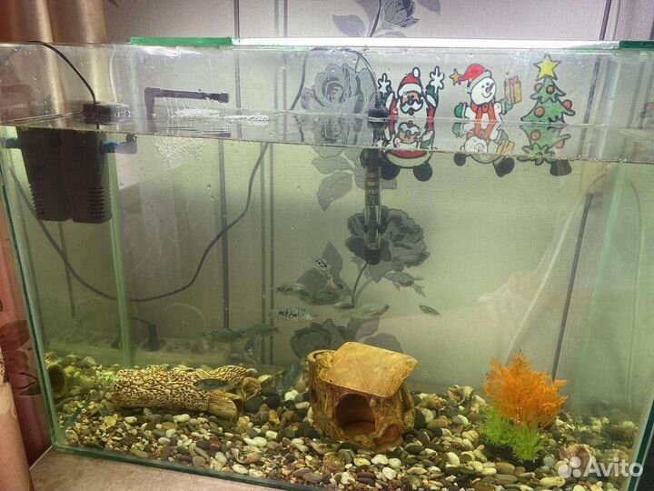 Аквариум с рыбками