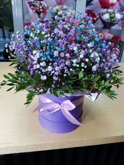 Букет из цветной гипсофилы в шляпной коробке. Дост