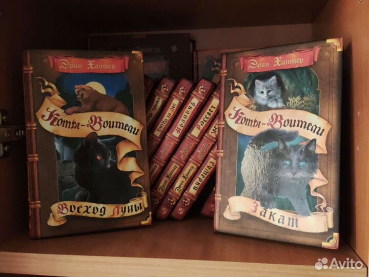 Коты воители Стань диким Лес секретов опасная троп