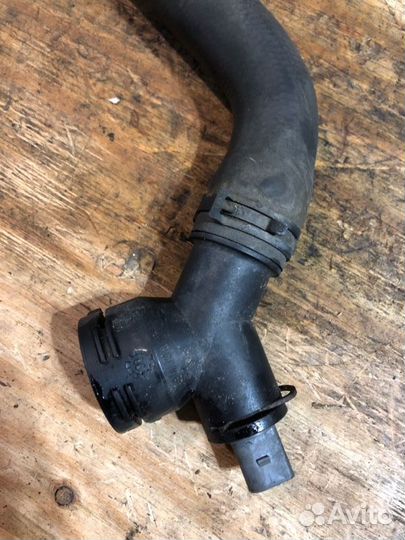 Патрубок радиатора Volkswagen Passat 3C5 BVY