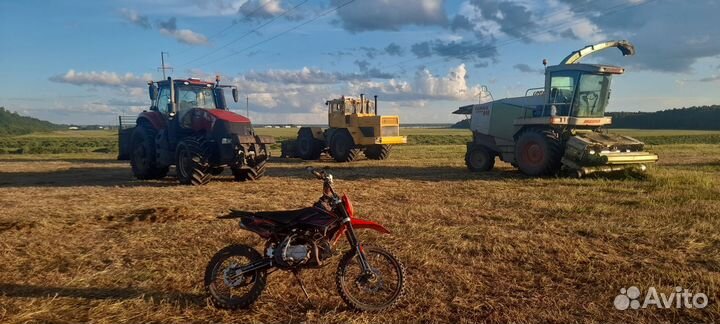 Питбайк Regulmoto seven medalist pro 19/16