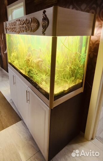 Аквариум с тумбой 450 литров