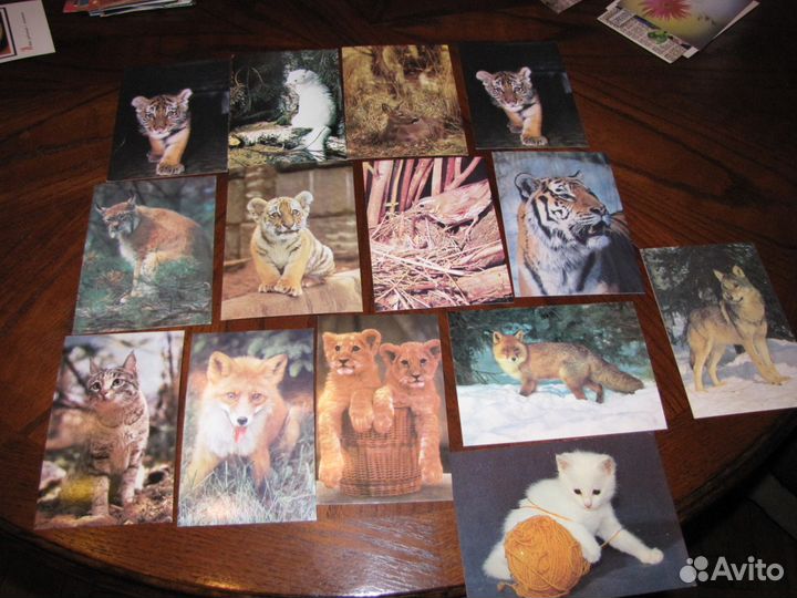 Фотооткрытки N 14