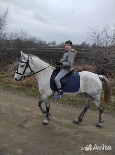 Прокат. Постой. Аренда. Фотографии