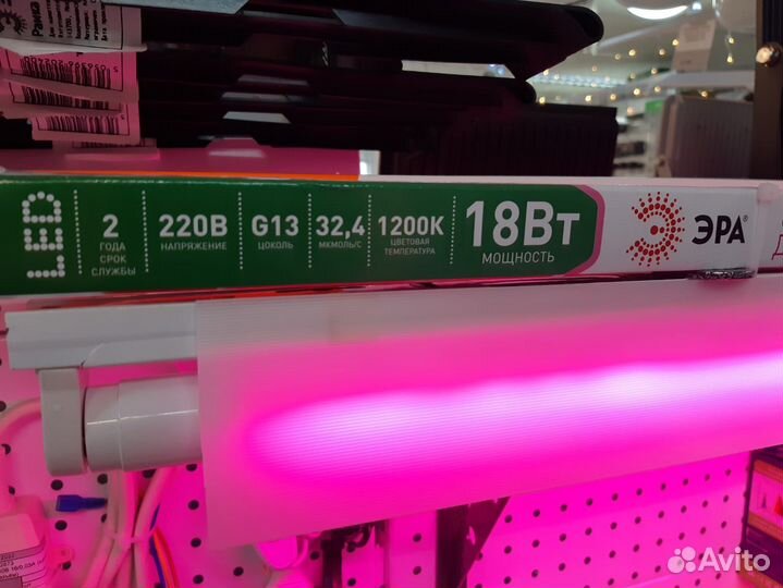 Фитолампа для рассады