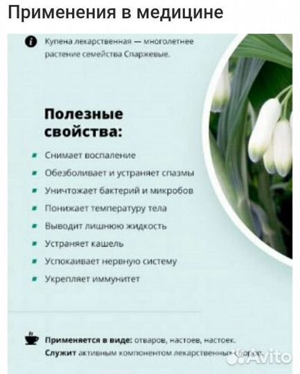 Купена лекарственная или соломонова печать