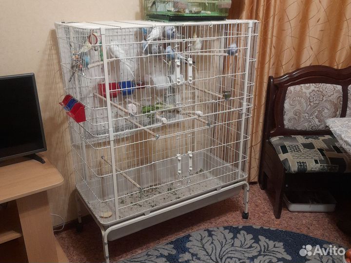 Клетка для крупного попугая