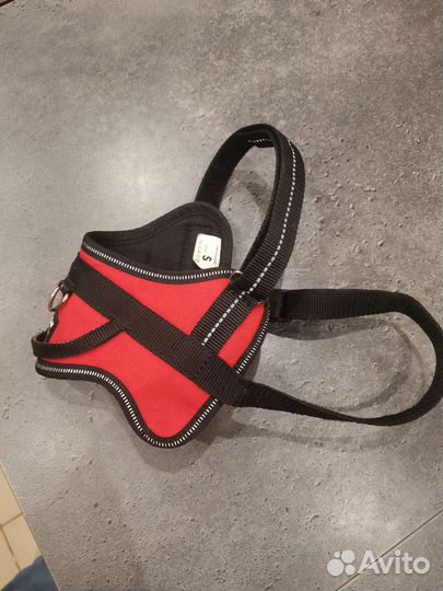 Шлейка для собак