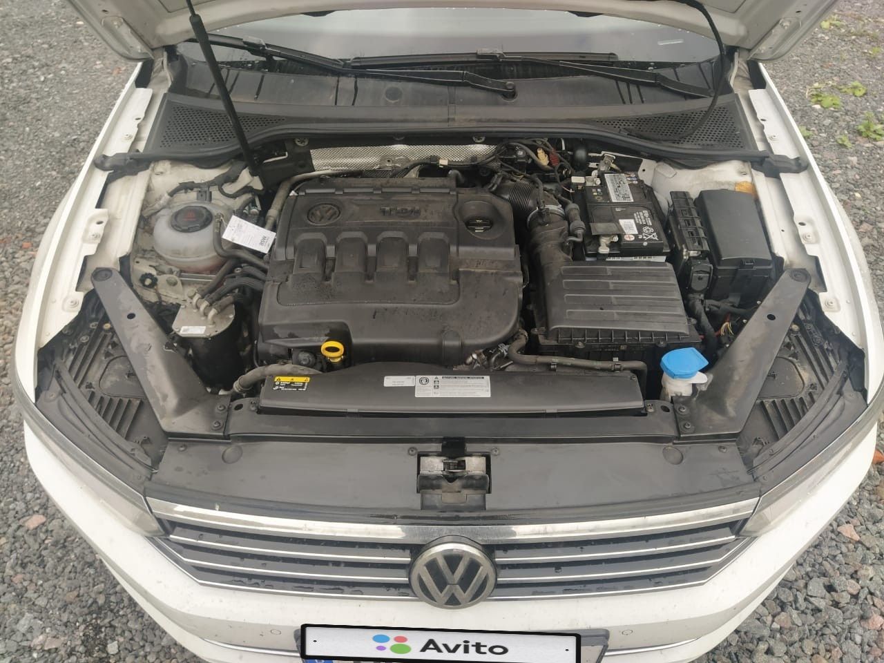 Volkswagen Passat: фото владельца