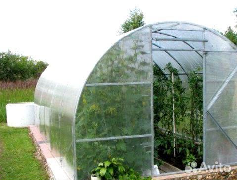 Теплица 3 на 8 м