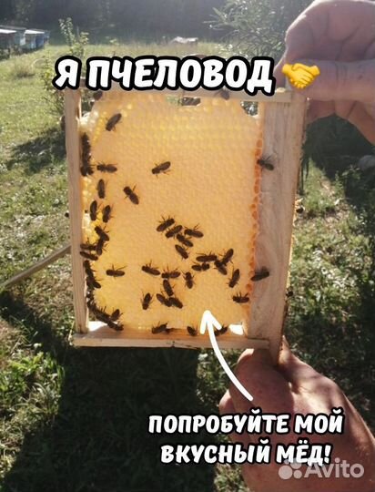 Аккураевый мед