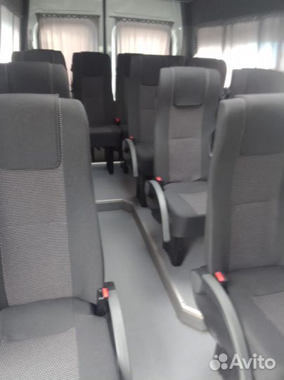 Городской автобус Ford Transit, 2020