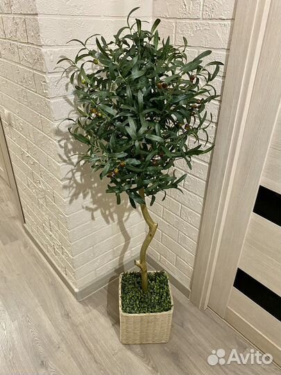 Олива дерево искусственное домой офис кафе