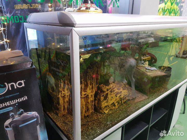Аквариум