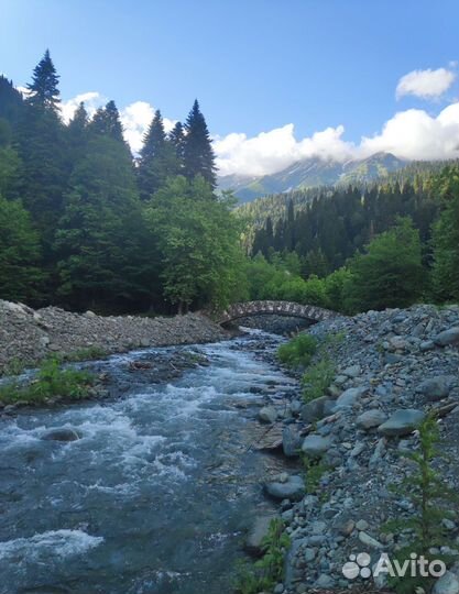 День в Абхазии (экскурсия)