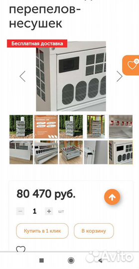 Клетка для перепелов