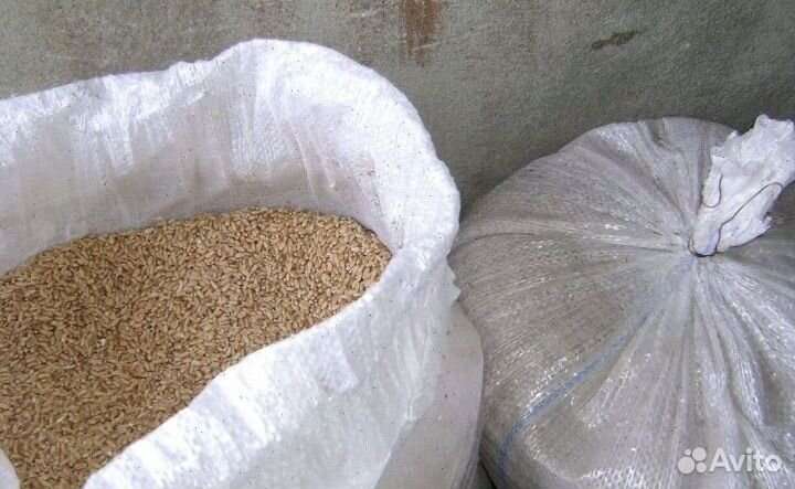 Корм эконом