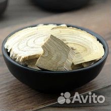 Аралия Маньчжурская