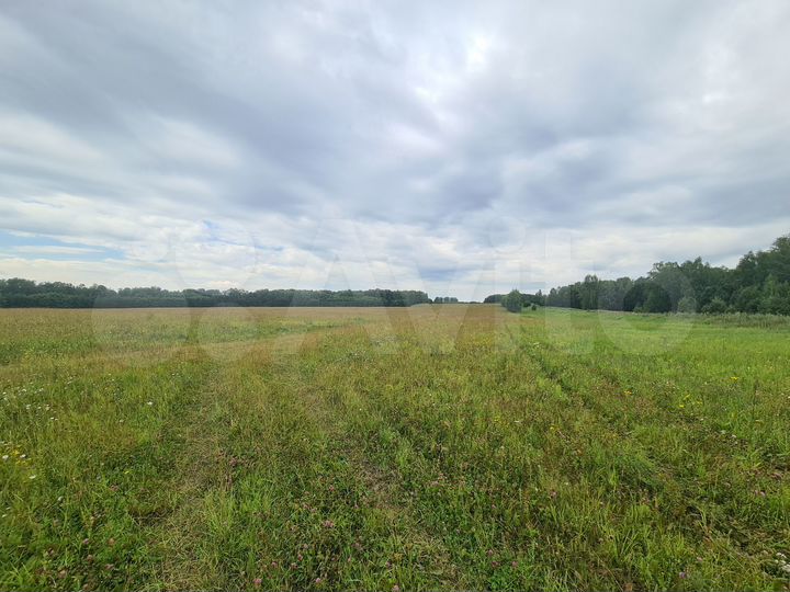 Участок 3,9 га (СНТ, ДНП)