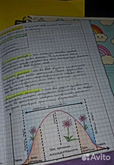 Перепишу лекции/конспекты