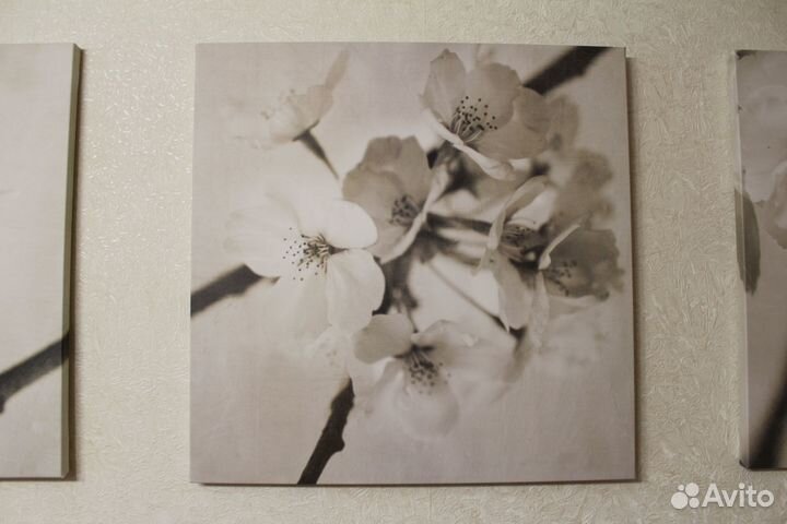 Модульная картина IKEA pjatteryd